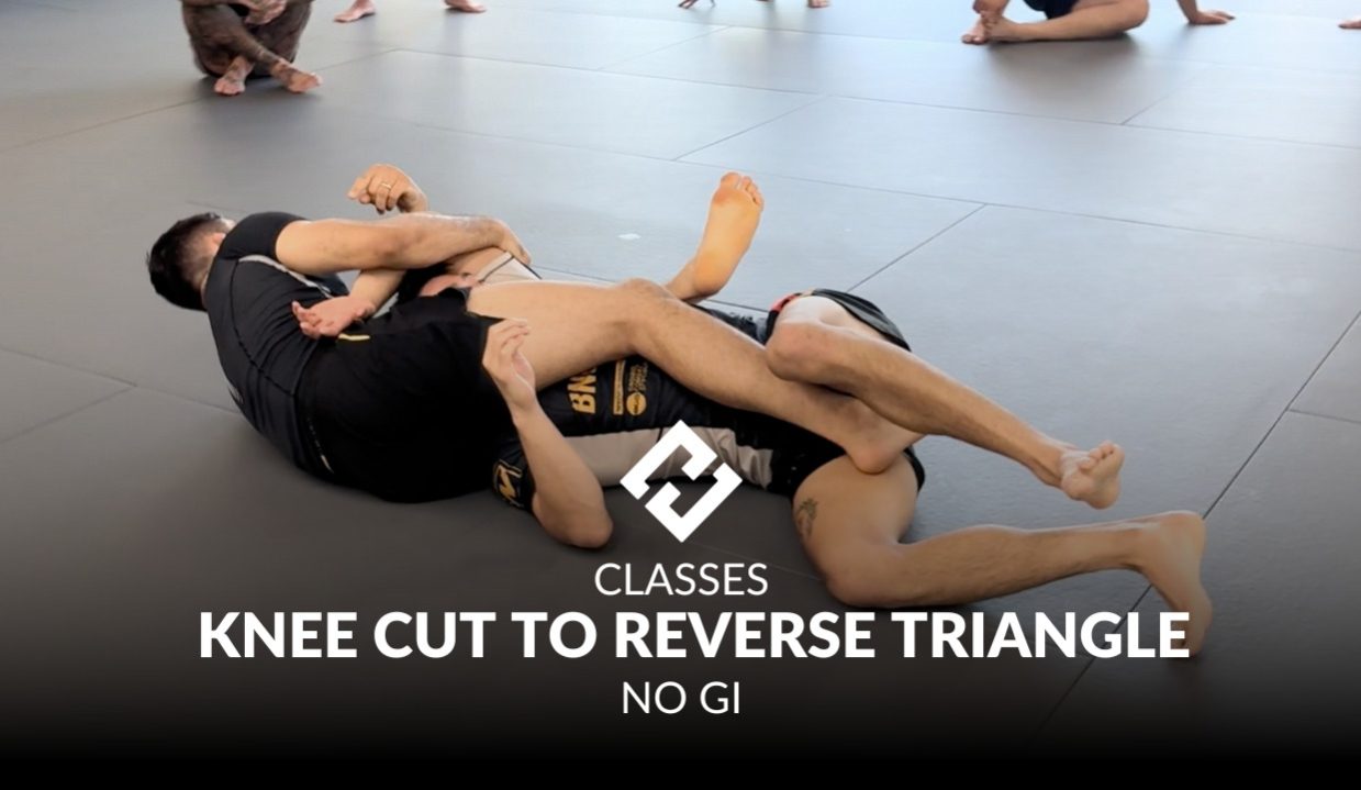 KNEE CUT TO REVERSE TRIANGLE.jpg