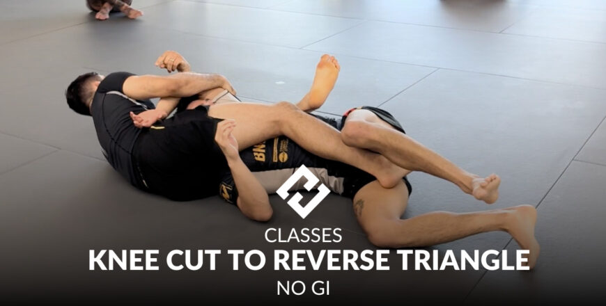 KNEE CUT TO REVERSE TRIANGLE.jpg