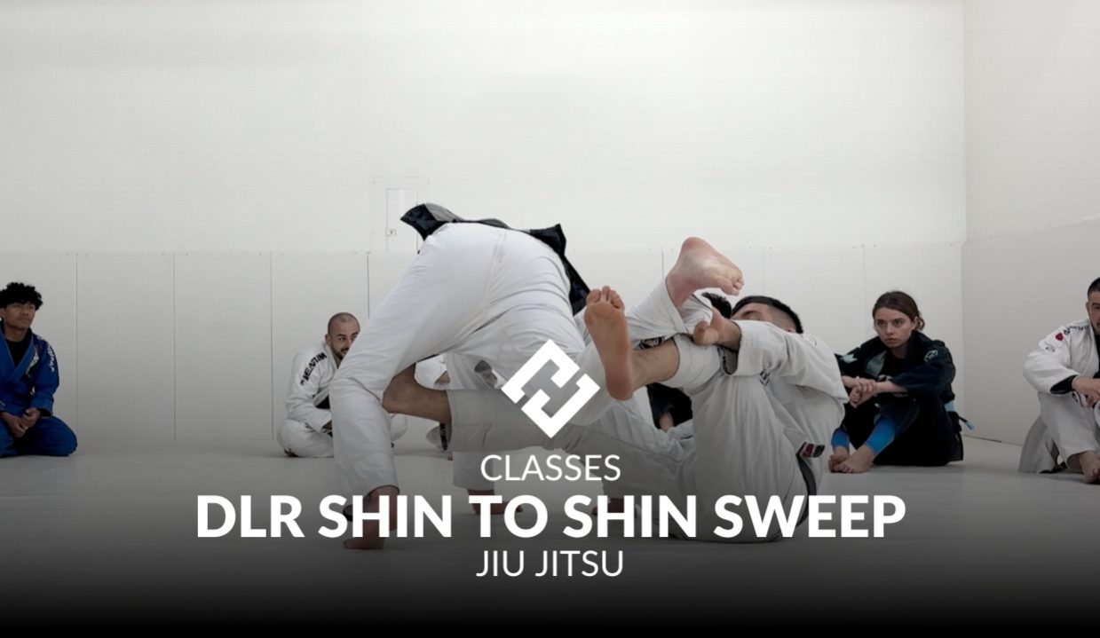 dlr shin to shin sweep.jpg