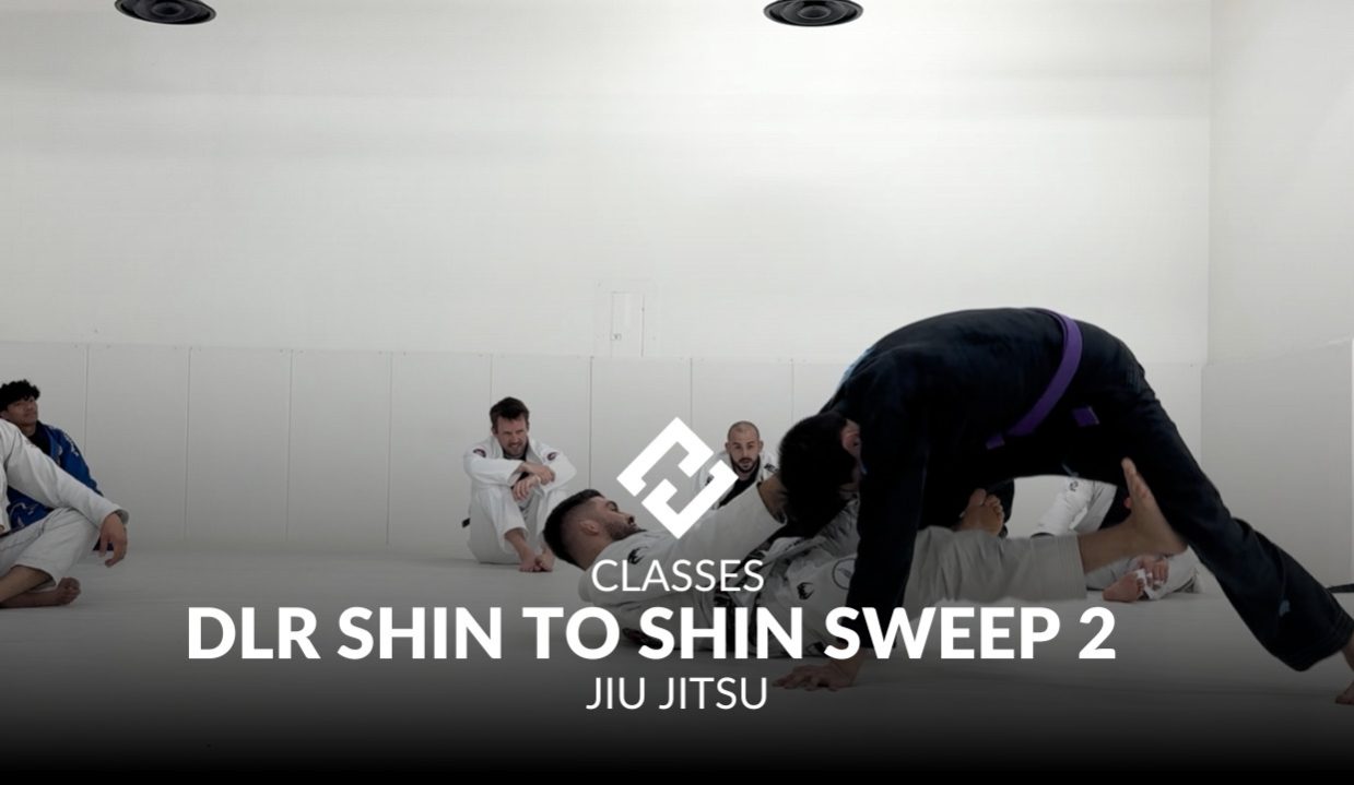 dlr shin to shin sweep 2.jpg