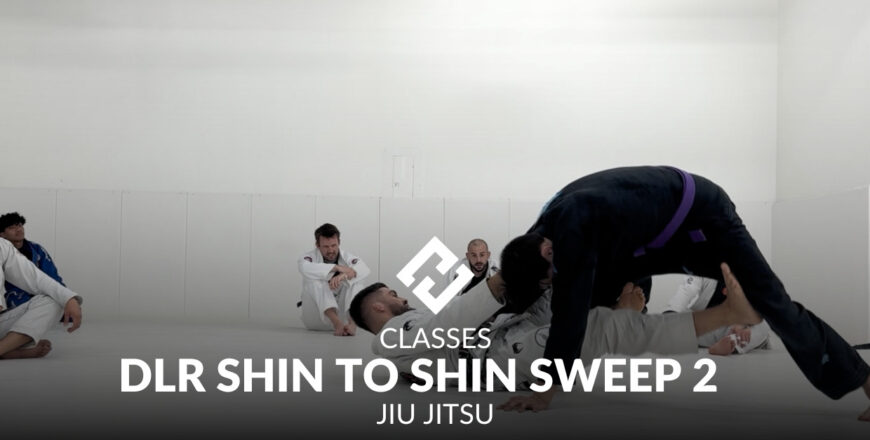 dlr shin to shin sweep 2.jpg