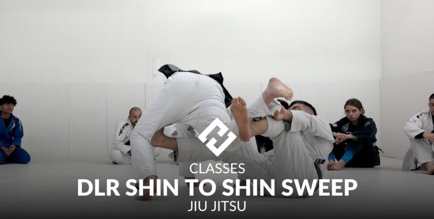 dlr shin to shin sweep.jpg