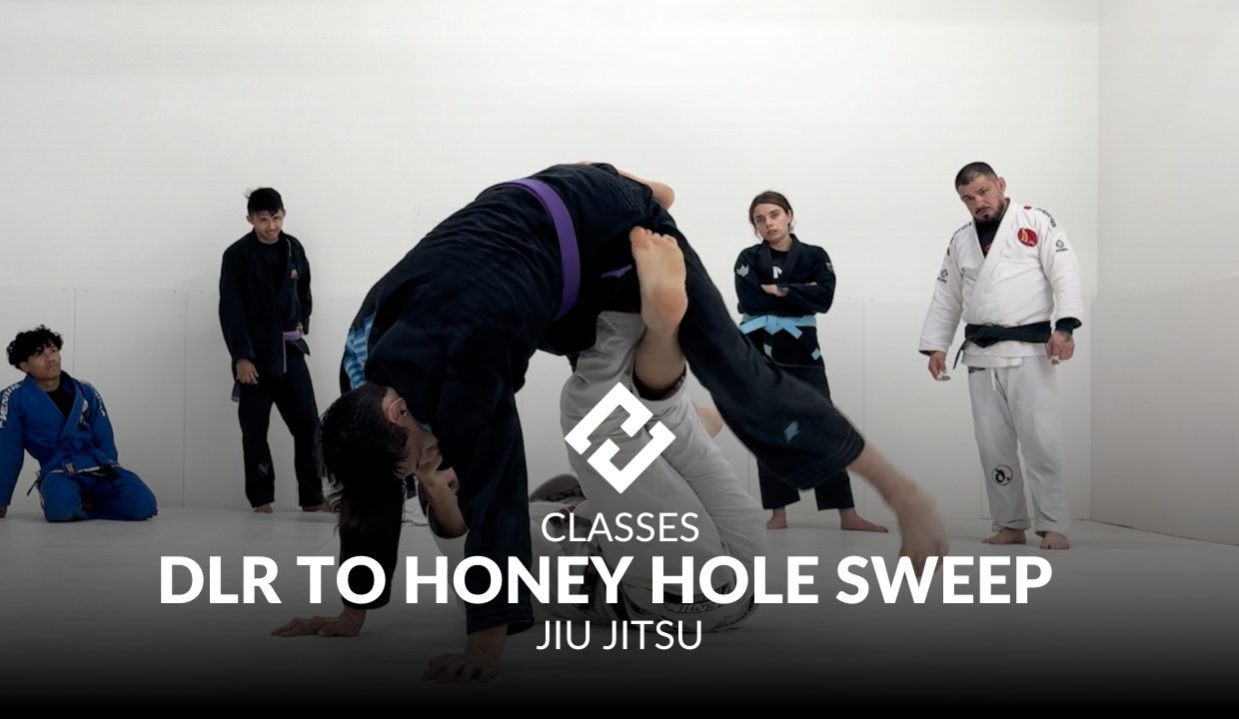 dlr to honey hole sweep.jpg